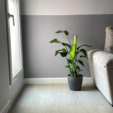 Centro De Con Acceso Domotizado Y Buenos Acabados Lejlighed